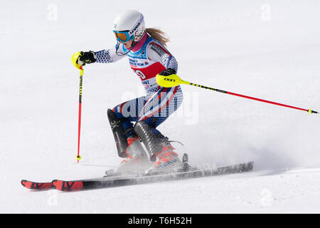 Montaggio MOROZNAYA, KAMCHATKA, RUSSIA - MARZO 29, 2019: Montagna sciatore Yaroslava Popova (regione di Krasnoyarsk) sciare giù da montare. Il russo lo sci alpino Cup Foto Stock