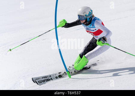 Montaggio MOROZNAYA, KAMCHATKA, RUSSIA - MARZO 29, 2019: Montagna sciatore Guseva Ekaterina (St. Pietroburgo) Sci All Mountain. Il russo lo sci alpino coppa, Foto Stock