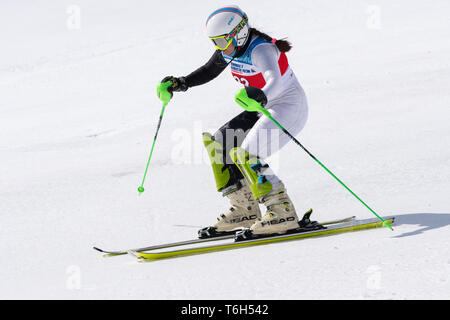 Montaggio MOROZNAYA, KAMCHATKA, RUSSIA - Mar 29, 2019: Montagna sciatore Kudryavtseva Ekaterina (St. Pietroburgo) sciare giù da montare. Il russo lo sci alpino Cup Foto Stock