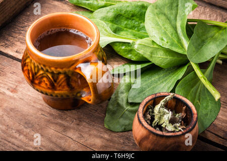 Tè freschi ed erbe.omeopatici fatti in casa da tè piantaggine Foto Stock
