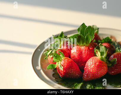 Succose fragole fresche su una piastra su sfondo bianco Foto Stock