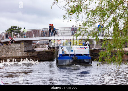 Ruver gite sul fiume Avon a Stratford upon Avon, Warwickshire, West Midlands. Foto Stock