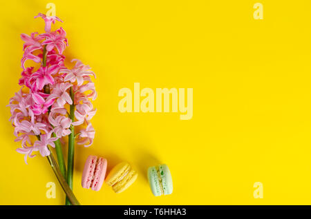 Giacinto di rosa fiori e macarons o amaretti su sfondo giallo. Spazio per il testo Foto Stock