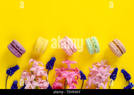 Muscari azzurro fiori rosa, giacinto e macarons o amaretti su sfondo giallo. Spazio per il testo. Lay piatto Foto Stock