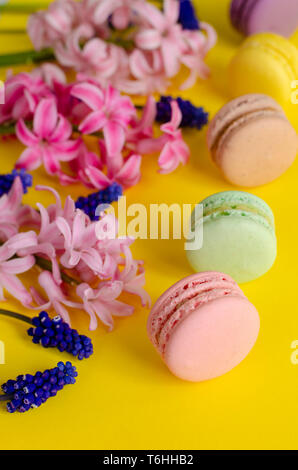 Muscari azzurro fiori rosa, giacinto e macarons o amaretti su sfondo giallo. Nessuna dieta giorno. In verticale Foto Stock