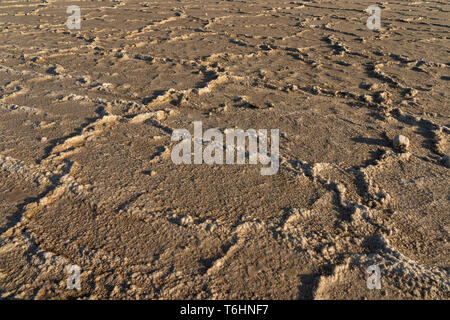 Close up di sale delle pianure di sale del Lago Asale nella depressione di Danakil in Etiopia, Africa Foto Stock
