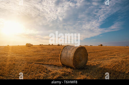 Campo raccolte con le balle di paglia in estate Foto Stock