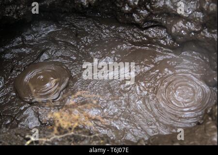 Orakei Korako nascosta area geotermica - Nuova Zelanda: chiudere fino a temperatura di ebollizione termali calde pozze di fango pot Foto Stock