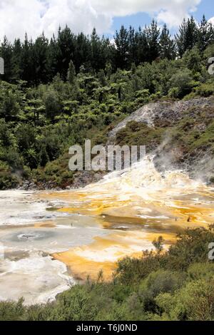 Orakei Korako nascosta Valle geotermica - terrazza di smeraldo, Nuova Zelanda: vista sulla colorata rainbow sinterizzare terrazza coperta con giallo e bianco antimicrobica Foto Stock