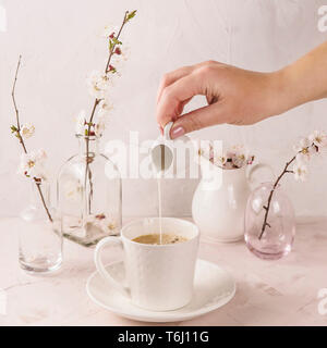 Una donna versa la crema in bianco una tazza di caffè tra i piccoli vasi con molla di fioritura bianco fiori su un calcestruzzo leggero sottofondo. Foto Stock