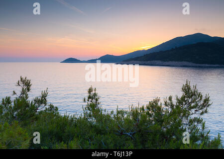 Il pino lascia un tramonto alla luce del sole nella baia di Saplunara. Mare Adriatico. Isola di Mljet. Croazia. Europa Foto Stock