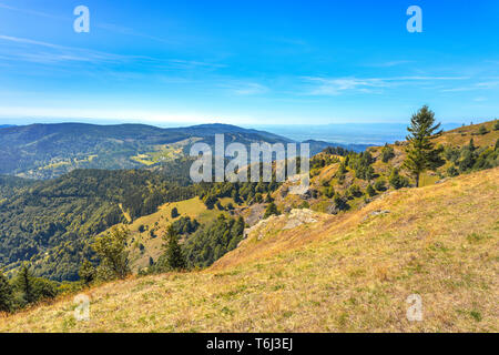 Le creste di montagna visto dalla montagna Belchen, Foresta Nera, in Germania, in uno dei punti più alti nel sud della Foresta Nera e la riserva naturale Foto Stock