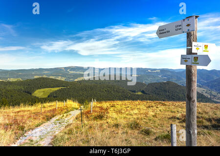 Panorama sulla cima della collina di Monte Belchen, vista verso il monte Feldberg, Alta Foresta Nera, Germania, escursionismo piastre in primo piano Foto Stock