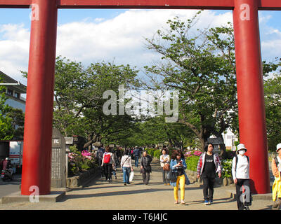 Porta vicino al Tempio Hasedera a Kamakura, Giappone. Foto Stock