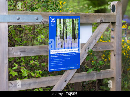 Il National Trust informazioni registrazione sul cancello di legno all'entrata di Dockey boschi, Ashridge Foto Stock