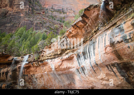 Pool di smeraldo nel Parco Nazionale di Zion, Utah Foto Stock