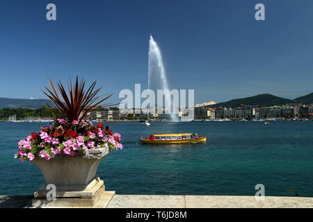 Fontana di acqua a Ginevra con Mont Blanc in background. Foto Stock