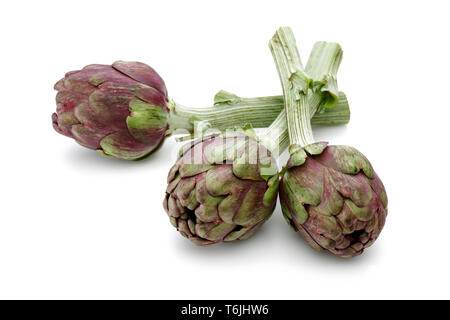 Carciofi freschi isolati su sfondo bianco. Studio shot Foto Stock