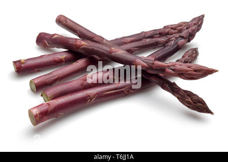 Asparagi viola bastoni isolati su sfondo bianco Foto Stock