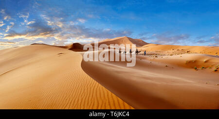 Giri in cammello sul Sahara dune di sabbia di Erg Chebbi Marocco Foto Stock