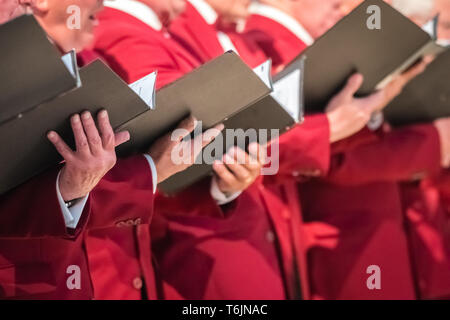 Mens coro di eseguire in una cattedrale Foto Stock