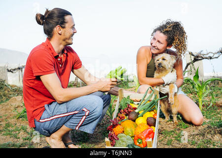 Coppia felice con il loro cane raccogliere la frutta e le verdure fresche dal loro giardino house - Contadino giovani al lavoro di prelevare il cibo vegetariano Foto Stock