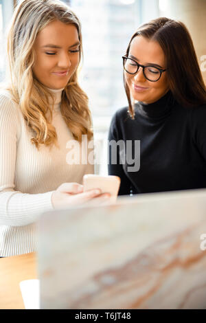 Femmina freelance lavorando sul computer portatile in Cafe Foto Stock
