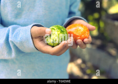 La sezione centrale di un bambino con la luce blu maglione tenendo due verde e arancione estere dipinte di uova in un ambiente all'aperto. Foto Stock