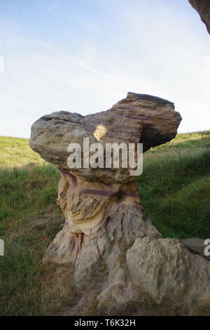 Caiplie Grotte, sollevato Beach Sea Cliff di coloratissimi carbonifero Geologia arenaria colpite da bande Lisengang e grotte. Anstruther, Fife, Regno Unito. Foto Stock