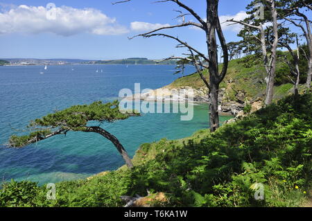 Vista su Carrick strade su una bella giornata d'estate a Falmouth dal sentiero costiero vicino a St Anthony Head, Cornwall,l'Inghilterra,UK Foto Stock