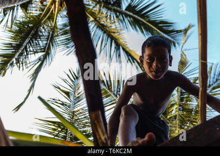 Primo piano del giovane ragazzo di arrampicata in un albero di palma Foto Stock