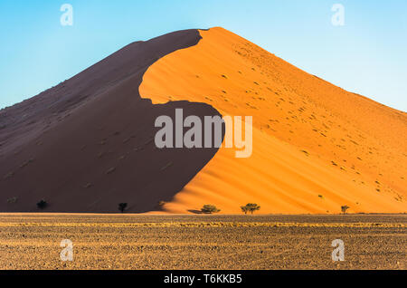 Dune rosse di Sossusvlei, Namib-Naukluft National Park, Namibia Foto Stock