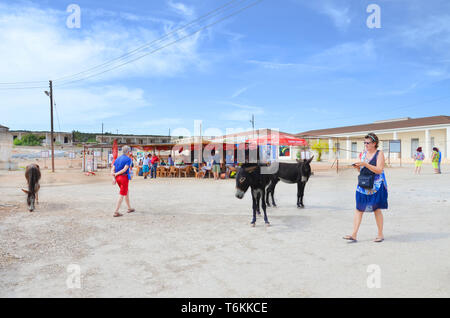 Rizokarpaso, Dipkarpaz, turca di Cipro Nord - 3 OTT 2018: turisti camminando sulla strada della piccola città rurale. Lungo la strada vi sono anche due asini selvatici. Gli animali sono attrazione locale. Foto Stock