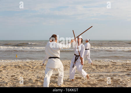 Lazurnoe, Ucraina - 29 Luglio 2017: un gruppo di sportivi sono la formazione nel karate presso il mar Nero a riva Foto Stock