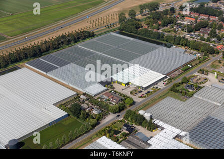 Vista aerea dei polder Olandesi con il paesaggio agricolo e serre Foto Stock