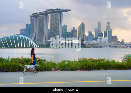 SINGAPORE - Febbraio 16, 2017: Donna a piedi con un cane da tje fiume nella parte anteriore del centro cittadino di Singapore Foto Stock