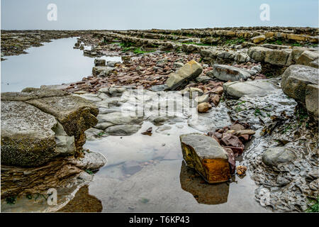 Formazioni di roccia esposta a bassa marea Foto Stock