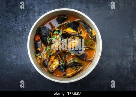 In stile tradizionale francese Corsica stufato di cozze con cozze come vista dall'alto in una pentola con lo spazio di copia Foto Stock