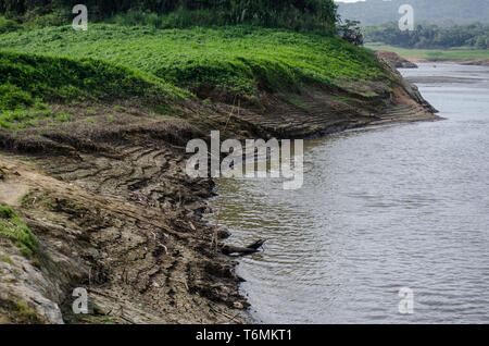 Gli effetti della siccità sono visibili nelle sponde del lago di Alajuela. I livelli di acqua è di parecchi metri al di sotto del previsto. Foto Stock