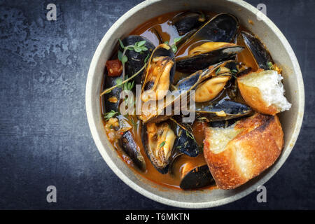 In stile tradizionale francese Corsica stufato di cozze con cozze come vista dall'alto in una pentola con lo spazio di copia Foto Stock