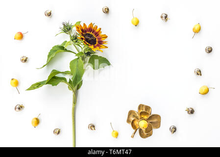 Telaio realizzato dei semi di girasole e di mele decorativo, su sfondo bianco. Foto Stock