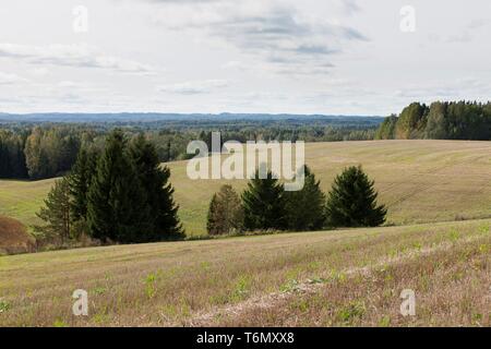 Paesaggio in Valga county, Southern Estonia Foto Stock