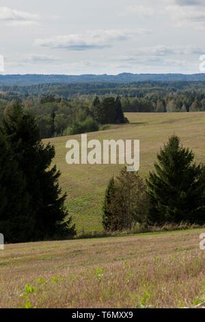 Paesaggio in Valga county, Southern Estonia Foto Stock