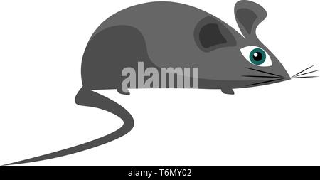 Little Grey mouse vettore illustrazione su sfondo bianco Illustrazione Vettoriale