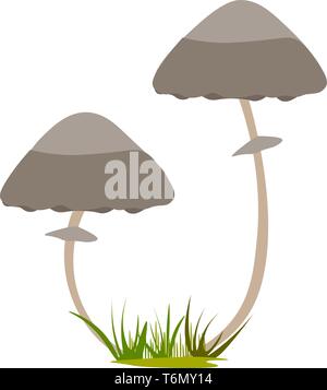 Due funghi illustrazione vettore su sfondo bianco Illustrazione Vettoriale