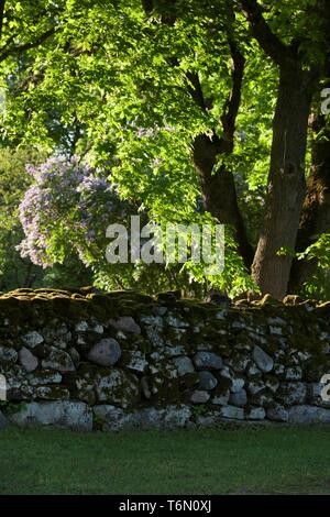 Recinzione in pietra nel villaggio di Koguva, Muhu island Foto Stock