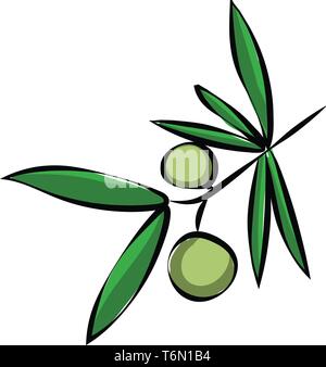 Il ramo di un albero di olivo con due olive verdi e foglie che sono oblunghi e vettore verde il colore di disegno o illustrazione Illustrazione Vettoriale
