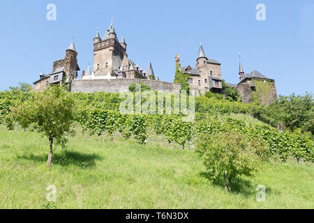 Il castello di Cochem in Germania, circondato da vigneti Foto Stock
