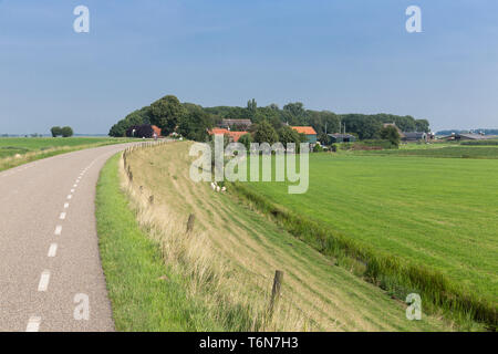Campagna Olandese con navigazione dike e prati Foto Stock