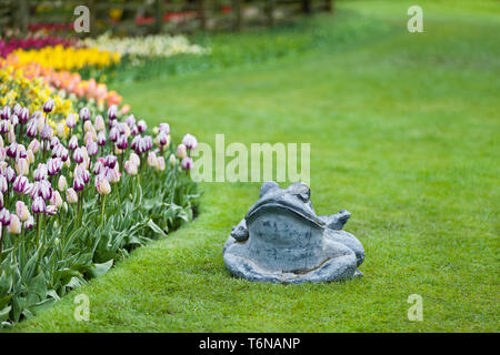 I tulipani che fiorisce in un campo in Mount Vernon, Washington durante la Skagit Valley festival Foto Stock